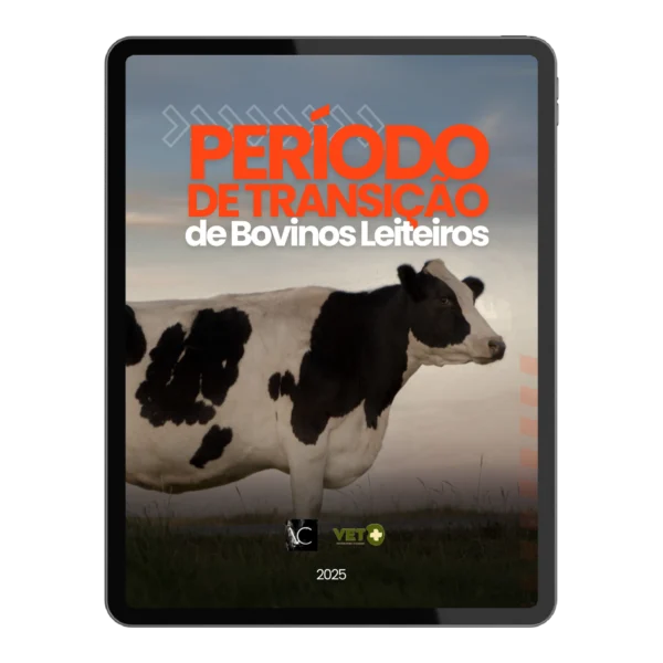periodo-de-transicao-de-bocinos-leiteiros
