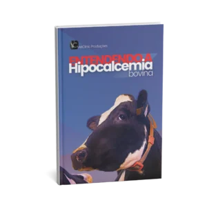 entendendo-a-hipocalcemia-bovina