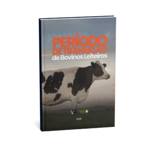 periodo-de-transicao-de-bovinos-leiteiros