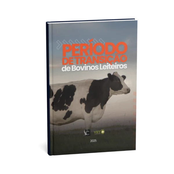periodo-de-transicao-de-bovinos-leiteiros